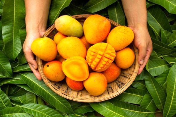 کدام مواد غذایی که نباید بعد از انبه بخوریم؟