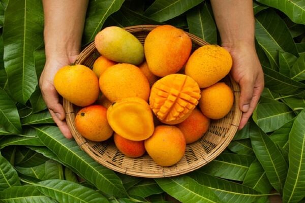 کدام مواد غذایی که نباید بعد از انبه بخوریم؟