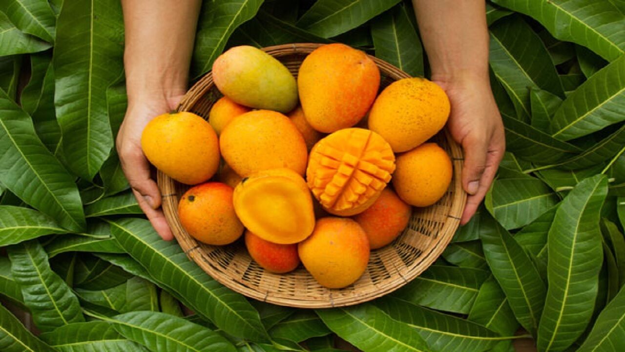 کدام مواد غذایی که نباید بعد از انبه بخوریم؟