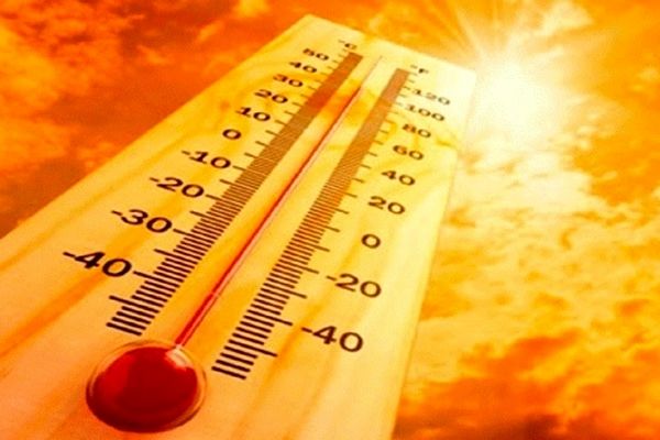 چه خوراکی‌هایی بدن را خنک می‌کند؟