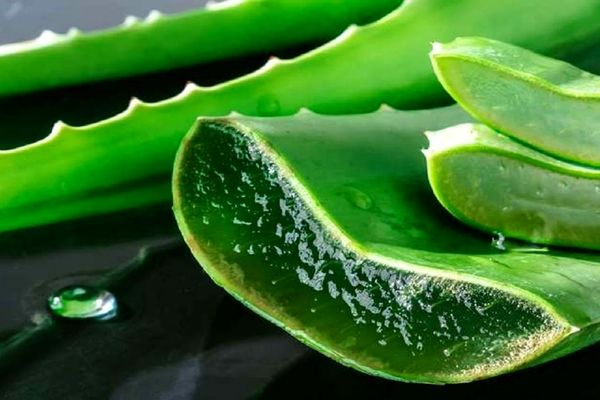 رشد مو با یک ماسک گیاهی