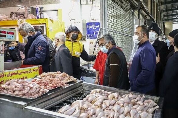 7 تامین کننده مرغ گرم در مشهد از فعالیت‌شان جلوگیری شد