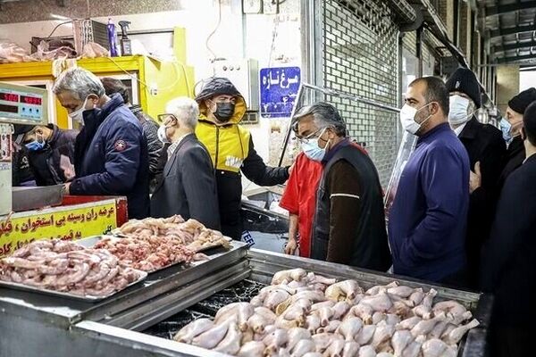 7 تامین کننده مرغ گرم در مشهد از فعالیت‌شان جلوگیری شد