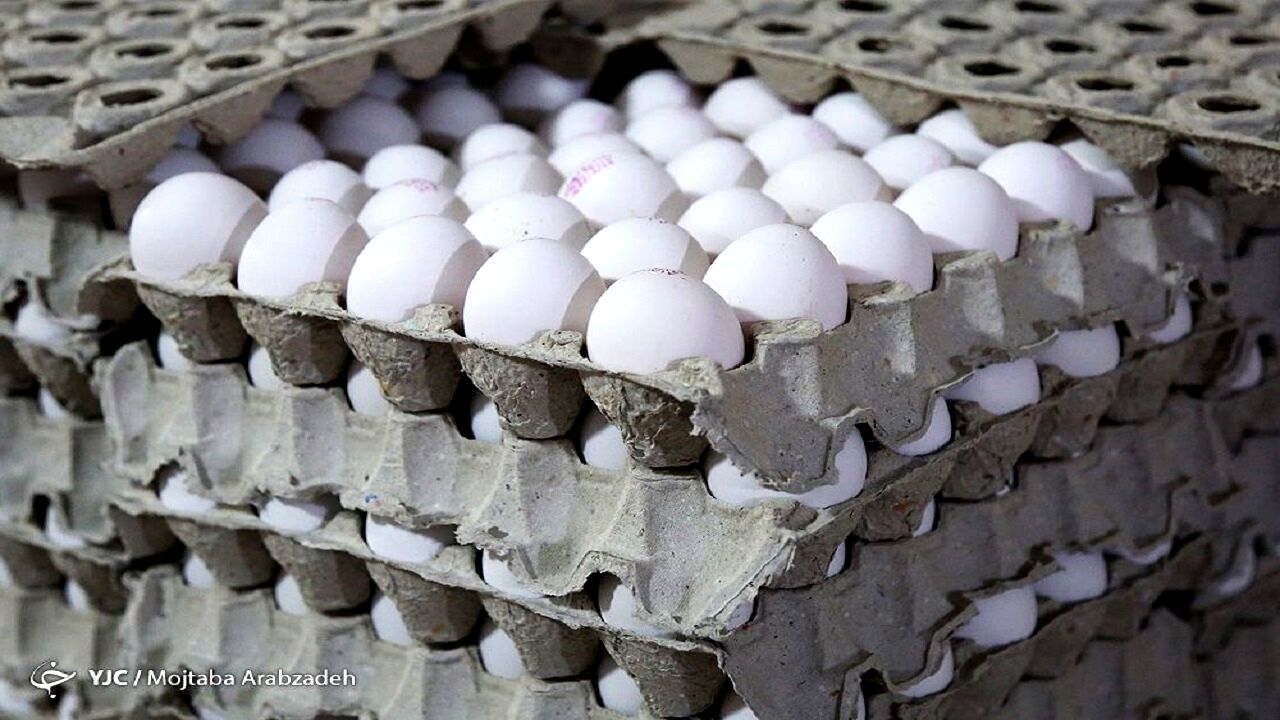 توصیه‌ها برای خرید تخم مرغ را جدی بگیرید/ آیا شست‌و‌شوی تخم مرغ کار درستی است؟