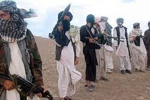 طالبان تروریست مشروع حساب می‌شود