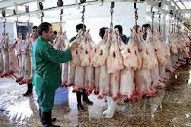 ۳۹ تیم دامپزشکی بر ذبح دام روز عید قربان در مشهد نظارت می‌کنند