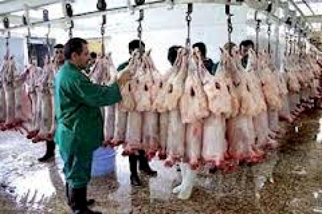 ۳۹ تیم دامپزشکی بر ذبح دام روز عید قربان در مشهد نظارت می‌کنند