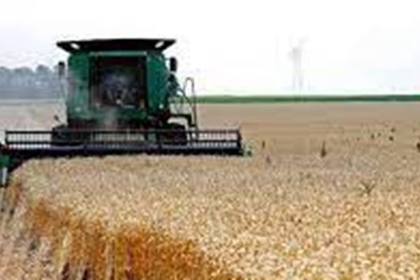 جزییات پرداخت زکات گندم و جو برای کشاورزان مشهدی