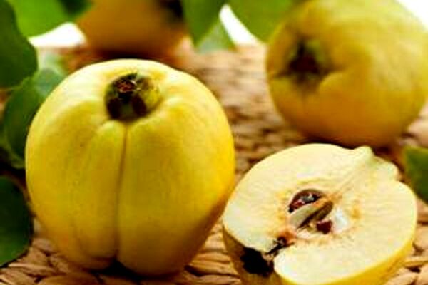 زیبایی نوزاد با خوردن میوه به در بارداری حقیقت دارد؟