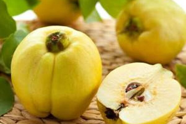 زیبایی نوزاد با خوردن میوه به در بارداری حقیقت دارد؟