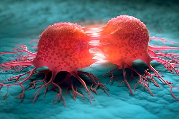 نخستین مرکز غربالگری سرطان در بیمارستان امید مشهد راه اندازی شد