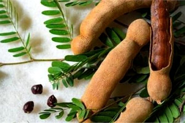 ۸ مزیت فوق العاده تمرهندی برای سلامتی