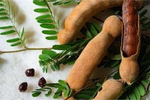 ۸ مزیت فوق العاده تمرهندی برای سلامتی