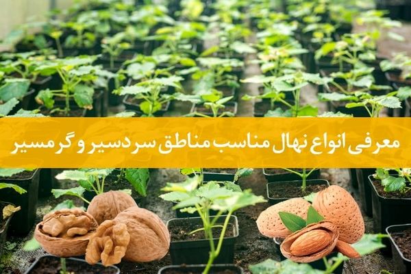 نهال گرمسیر و سردسیر