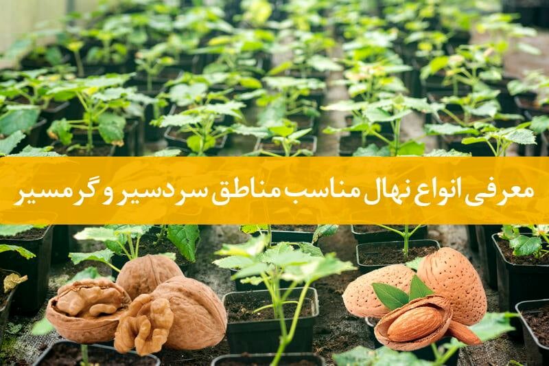 نهال گرمسیر و سردسیر