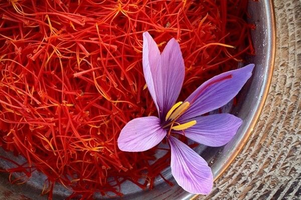 داستان مافیایی زعفران/ محل درآمد بیشتر اعضای شورای ملی زعفران از صادرات است