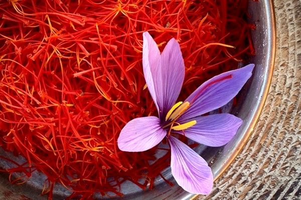 داستان مافیایی زعفران/ محل درآمد بیشتر اعضای شورای ملی زعفران از صادرات است