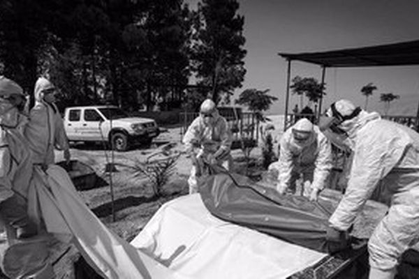 به مشهد سفر نکنید/ مشهد دردناک‌ترین روزهای کرونایی خود را می‌گذراند