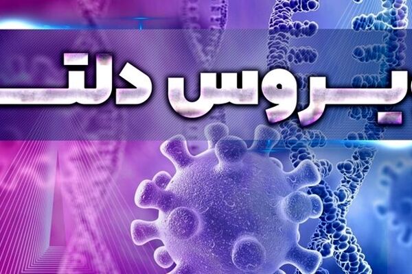 استمرار بی توجهی‌ها منجر به فاجعه انسانی می‌شود/ویروس دلتا گریبانگیر خانواده‌های مشهدی