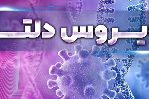 استمرار بی توجهی‌ها منجر به فاجعه انسانی می‌شود/ویروس دلتا گریبانگیر خانواده‌های مشهدی
