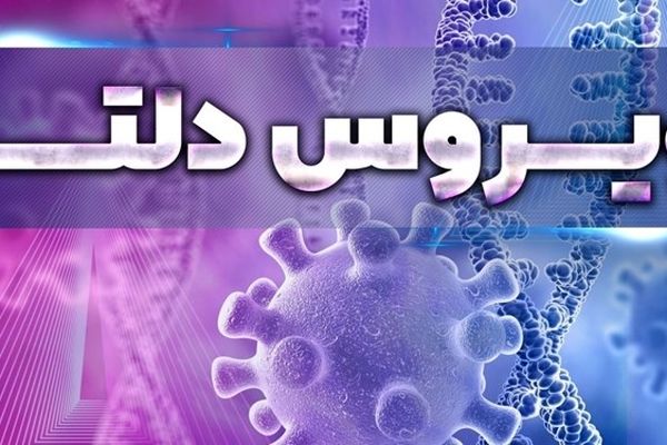 استمرار بی توجهی‌ها منجر به فاجعه انسانی می‌شود/ویروس دلتا گریبانگیر خانواده‌های مشهدی