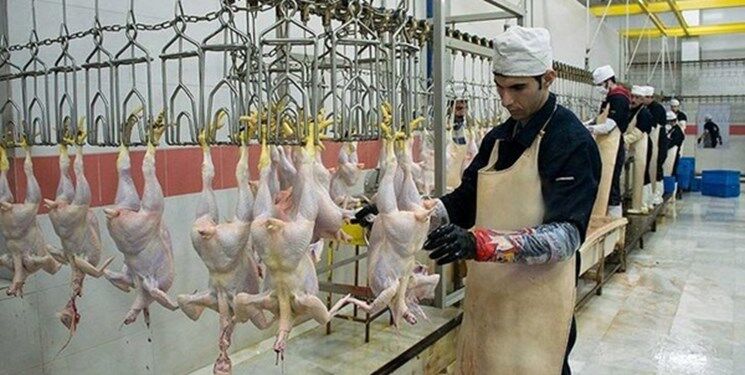 معدوم‌سازی 192 تُن گوشت طیور غیرقابل‌مصرف در خراسان رضوی