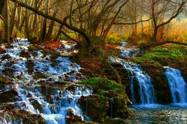 تلاش برای راه‌اندازی بزرگ‌ترین مرکز اکو توریسم در غرب آسیا با محوریت مشهد