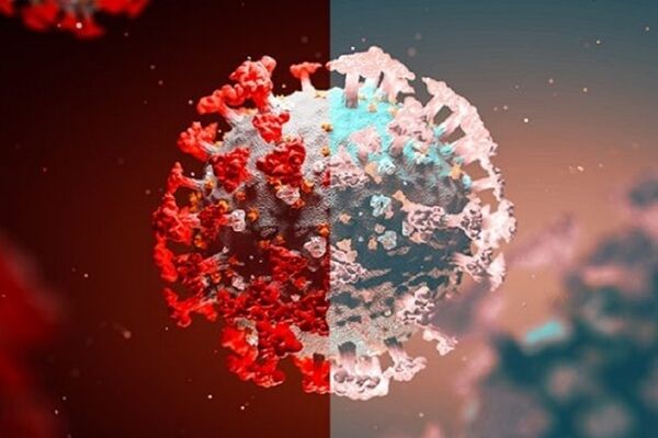 آیا افراد واکسینه شده می‌توانند ناقل دلتا کرونا باشند؟