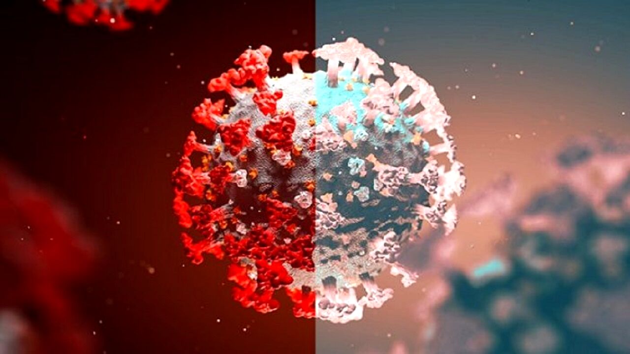 آیا افراد واکسینه شده می‌توانند ناقل دلتا کرونا باشند؟