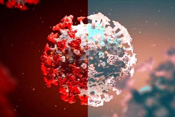 آیا افراد واکسینه شده می‌توانند ناقل دلتا کرونا باشند؟