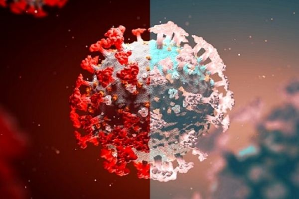 آیا افراد واکسینه شده می‌توانند ناقل دلتا کرونا باشند؟