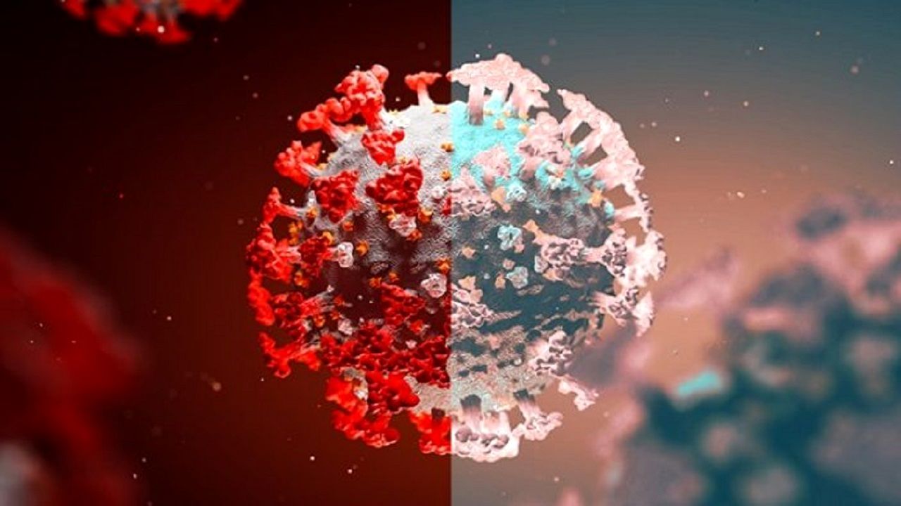 آیا افراد واکسینه شده می‌توانند ناقل دلتا کرونا باشند؟