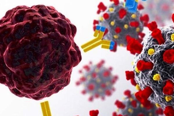 10 پاسخ طلایی به پرسش‌های رایج کرونایی