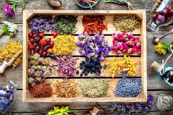 قبل از مصرف داروهای گیاهی این 5 اصل را در نظر داشته باشید