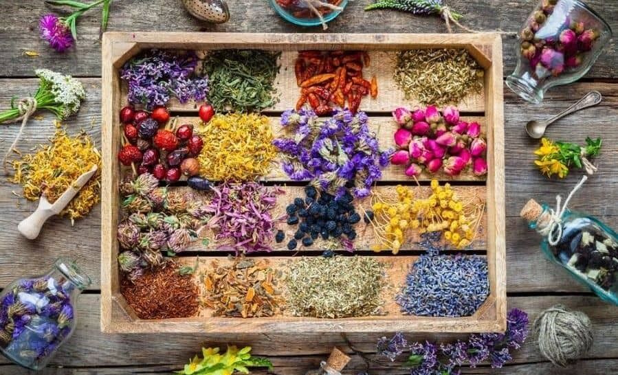 قبل از مصرف داروهای گیاهی این 5 اصل را در نظر داشته باشید