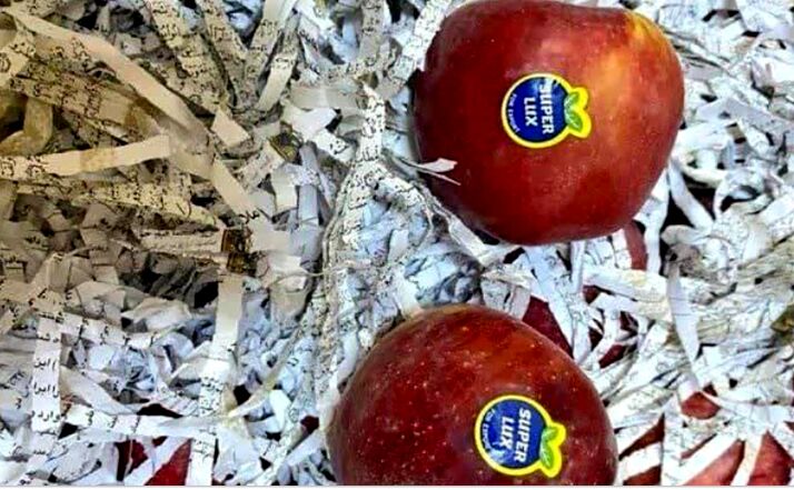 هتک حرمت به قرآن در بین میوه‌های صادراتی !