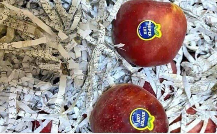 هتک حرمت به قرآن در بین میوه‌های صادراتی !