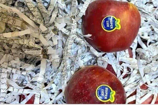 هتک حرمت به قرآن در بین میوه‌های صادراتی !