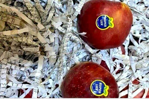هتک حرمت به قرآن در بین میوه‌های صادراتی !