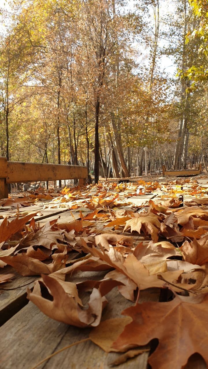 افزایش دمای هوا در خراسان رضوی