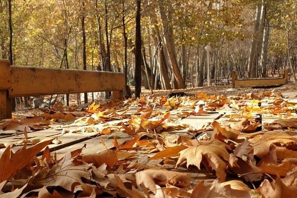 افزایش دمای هوا در خراسان رضوی