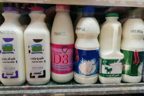 هزینه تمام شده شیر برای دامداران خراسان رضوی بیشتر از قیمت مصوب است