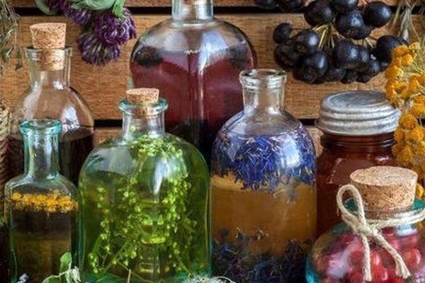 از درمان درد معده تا سوزش ادرار با عرقیات گیاهی مختلف