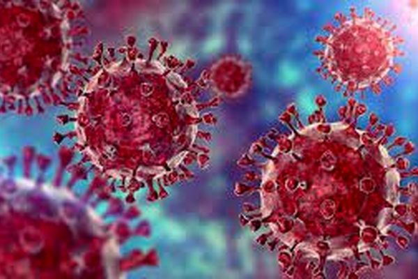 ژنی که خطر مرگ ناشی از کرونا را 2 برابر می‌کند