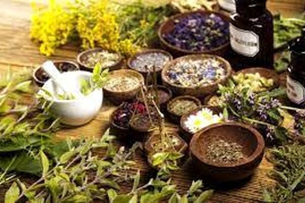 5 گیاه برای آرامش اعصاب را بشناسید