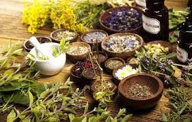 5 گیاه برای آرامش اعصاب را بشناسید