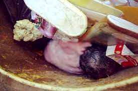 جنین 8 ماهه در زباله‌های منطقه فلاح تهران کشف شد+فیلم تکان دهنده