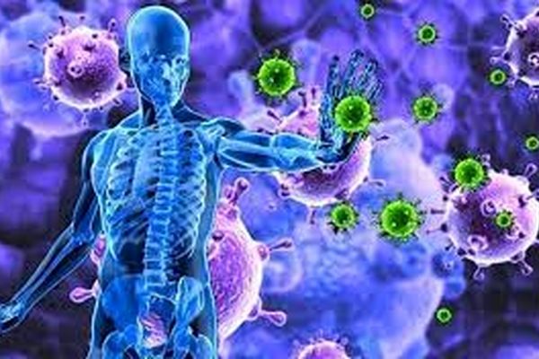 عوامل موثر در ضعیف شدن سیستم ایمنی بدن و بیماری را بدانید!