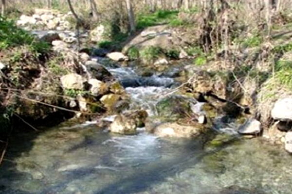 آزاد سازی ۵۰۰ مترمربع از اراضی بستر و حریم رودخانه عارفی مشهد
