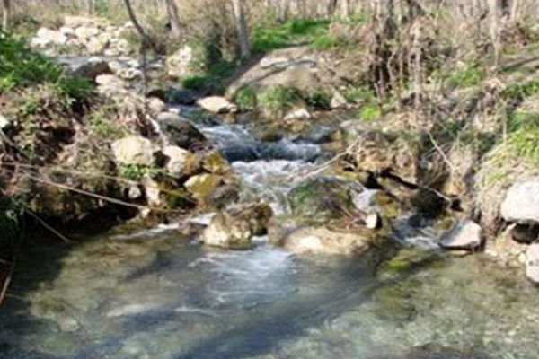 آزاد سازی ۵۰۰ مترمربع از اراضی بستر و حریم رودخانه عارفی مشهد